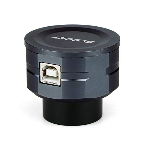 激レア】関俊彦 フォト&エッセイ Myself チラシ