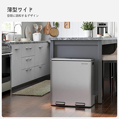 SONGMICS ゴミ箱 ダストボックス 2分別 ゴミ袋付き ペダル式