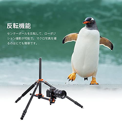 K&F Concept 三脚 一眼レフ 238cm 4段 カメラ 三脚 49CM横軸 俯瞰 360度回転 中心軸倒置 一脚可変 アルミ 軽量 コンパクト 低重心自由雲台 クイックシュー ナットロック式 S254Tの通販は
