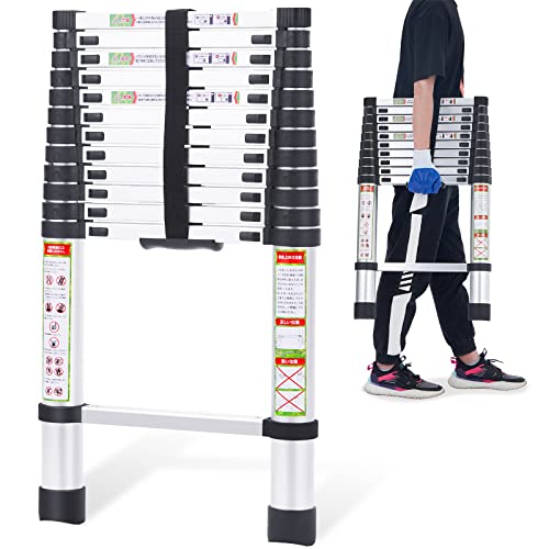 RIKADE 伸縮はしご 耐荷重150kg 軽量 持ち運びやすい 折り畳み 伸縮  
