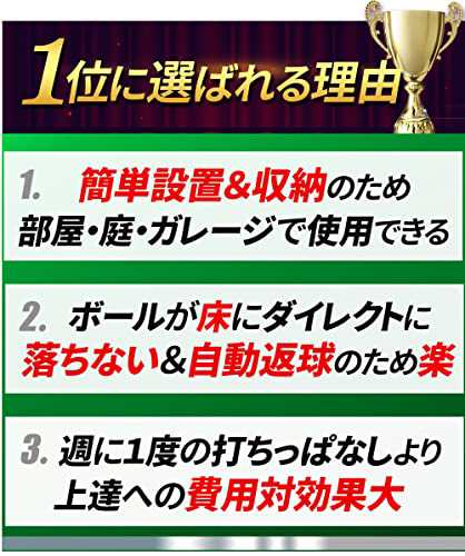 最安挑戦＊ゴルフネット 【安心の20年実績 Spornia】 自宅でドライバー ...