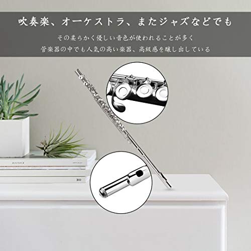Seika 16穴 Cキー フルート セット 初心者・上級者向け 高級白銅
