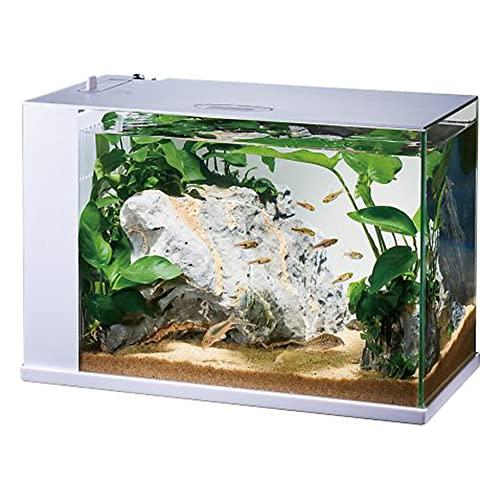 ジェックス GEX ガラス AQUARIUM ラクテリア 水換え簡単水槽 サカナ用 フィルター・LED付き W34*D17.5*H24cmホワイト