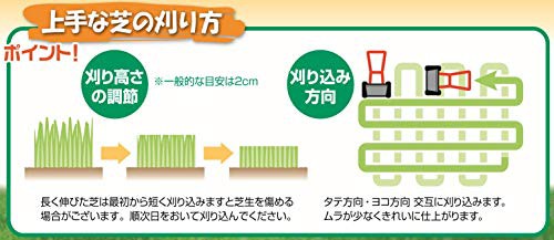 大進 手動 芝刈り機 自動調整刃 4939736702048 DGM-H200R 大進 園芸