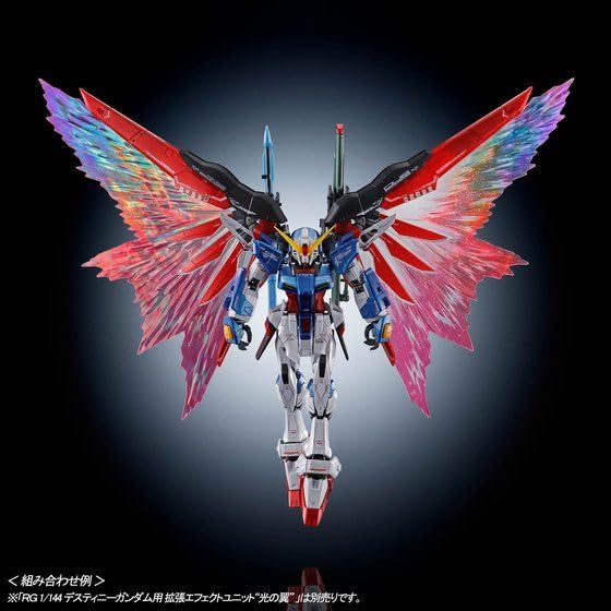 バンダイ(BANDAI) ＲＧ デスティニーガンダム［チタニウムフィニッシュ］1/144_5