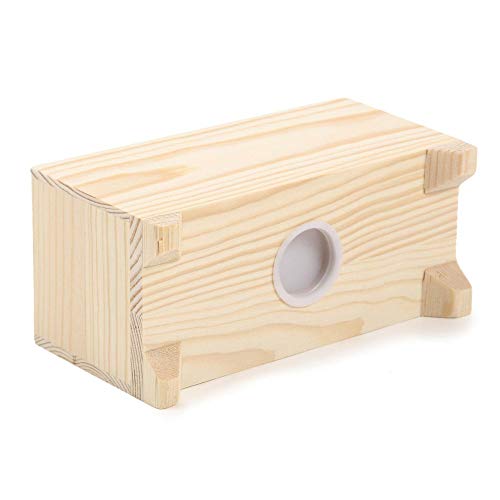 松の木 貯金箱 おしゃれ 癒しの天然素材 賽銭箱 木製 神道 神具 500円