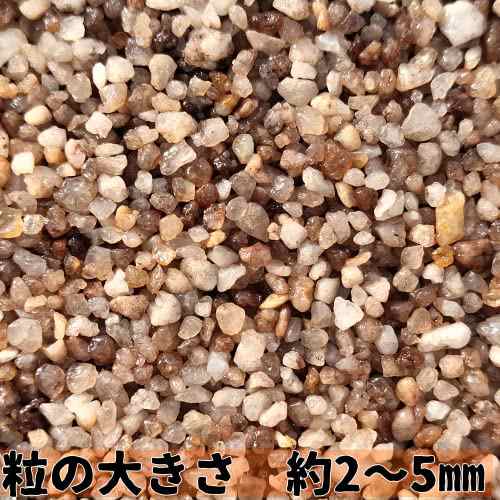 砂 中目 水槽 2 5 2袋 底砂 舞い上がらない砂 メダカ 熱帯魚 金魚 コリドラス どじょう 珪砂 ソイル 底砂 川砂 砂利 掃除 2 5 2 の通販はau Pay マーケット Halfcab