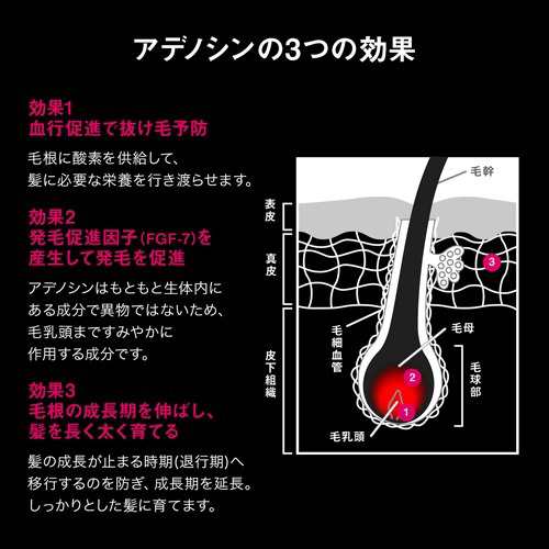 資生堂 アデノゲン 薬用アデノゲン グレイシィ(150ml)[女性育毛剤]の ...