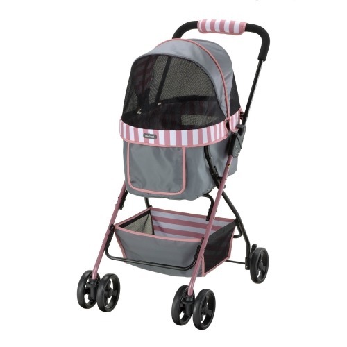 AnneofGreenGables 100周年記念版 洋書