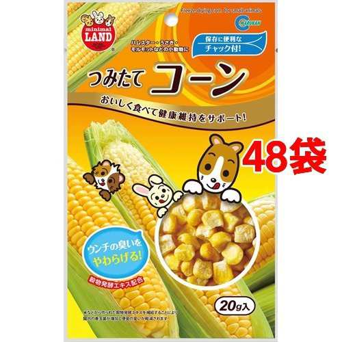 ミニマルランド つみたて コーン(20g*48コセット)[小動物のおやつ]