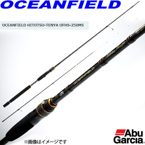 オーシャンフィールド 一つテンヤ OFHS-250MS アブガルシア OFHS-250MS