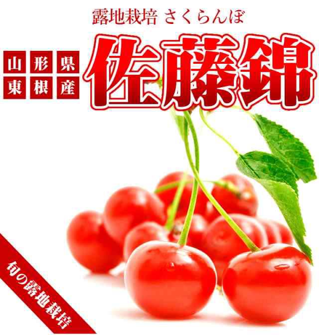 山形県産さくらんぼ 6月下旬お届け ギフト グルメ北海道 Au Pay マーケット