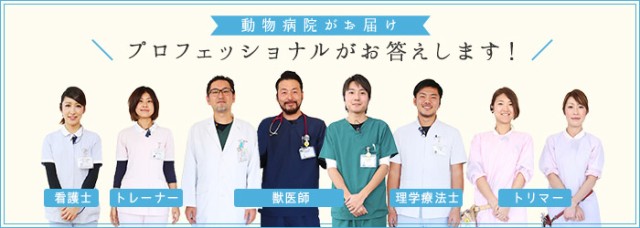 プロフェッショナルがお答えします 松波動物メディカル通信販売部 Au Pay マーケット