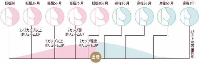 マタニティブライダルインナーのサイズについて ブライダルインナーリュクシー Au Pay マーケット