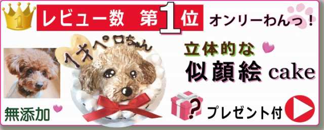 愛犬用似顔絵ケーキ 帝塚山ｗａｎｂａｎａ Au Pay マーケット