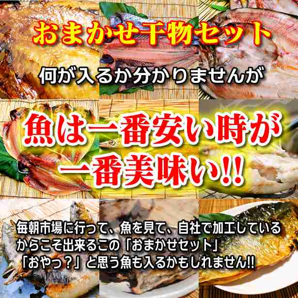 魚はおまかせ下さい おまかせ干物セット 小田原ひもの 山市干物専門店 Au Pay マーケット