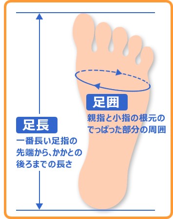 靴のサイズの選び方 子供靴通販 キッズステップ Au Pay マーケット店 Au Pay マーケット 靴のサイズの選び方 子供靴通販 キッズステップ Au Pay マーケット店 Au Pay マーケット