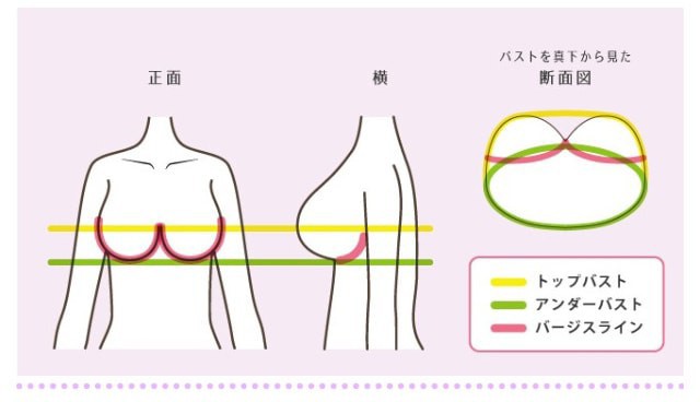 サイズに関するよくあるご質問 Ruiglamourous Au Pay マーケット