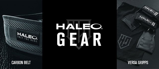 HALEO パワーグリップ ブラック 箱付き HALEO パワーグリップ ブラック 箱付き （【エントリーで全品