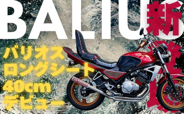 mariko1028.ktさま　専用❣️ ゼンハイザーからMSステレオショットガンマイク「MKH 8018」登場