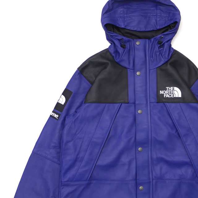 mountain parka north face supreme