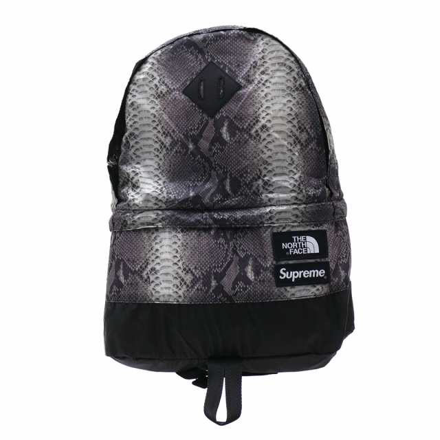 supreme the north face snakeskin lightweight day pack