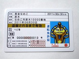 なめこ栽培 免許証 黄金なめこ の通販はau Pay マーケット 雑貨マックス なめこ栽培 免許証 黄金なめこ の通販はau Pay マーケット 雑貨マックス