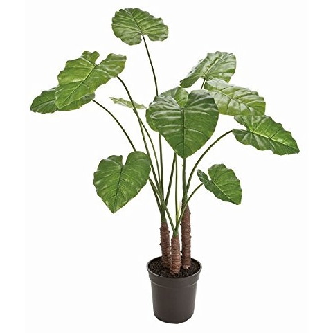 東京堂 FG013000 造花 ■Ｓ■クワズイモＧＲＥＥＮ メーカー直送の通販は 14,930円