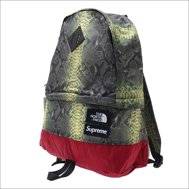 supreme the north face snakeskin lightweight day pack green