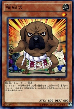 遊戯王カード 横綱犬 レイジング テンペスト Rate ヨコチュナ 地属性 獣族の通販はau Pay マーケット カードミュージアム
