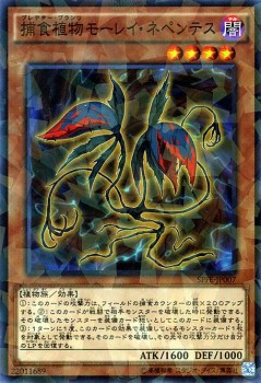 遊戯王カード 捕食植物モーレイ ネペンテス ノーマルパラレル Spfe プレデター プランツ 闇属性 植物族の通販はau Pay マーケット カードミュージアム 遊戯王カード 捕食植物モーレイ ネペンテス ノーマルパラレル Spfe プレデター プランツ 闇属性 植物族の通販はau Pay マーケット カードミュージアム