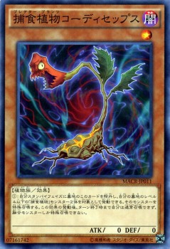遊戯王カード 捕食植物コーディセップス マキシマム クライシス Macr プレデター プランツ 捕食植物 コーディセップス 闇属性 植物族の通販はau Pay マーケット カードミュージアム 遊戯王カード 捕食植物コーディセップス マキシマム クライシス Macr プレデター プランツ 捕食植物 コーディセップス 闇属性 植物族の通販はau Pay マーケット カードミュージアム