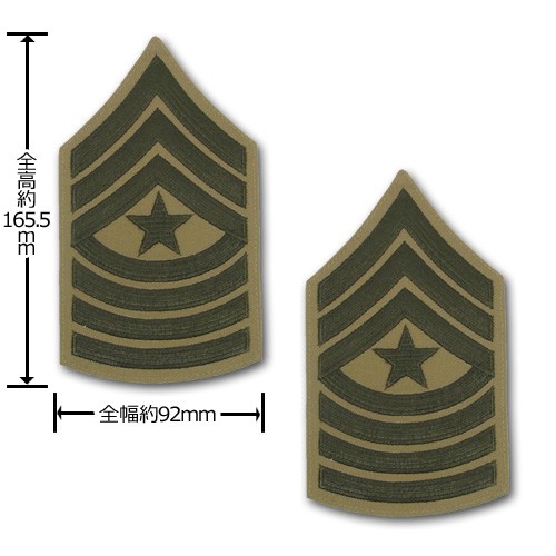 パーティを彩るご馳走や 米軍実物未使用品 アメリカ陸軍 最先任上級曹長 スナップ 個人装備