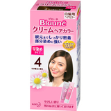 ブローネ クリームヘアカラー 4やや明るい栗色 1液40g 2液40g 花王 クリームタイプの早染めヘアカラー 根元 生え際 白髪染めの通販はau Wowma ソレイユ スマホ決済などok