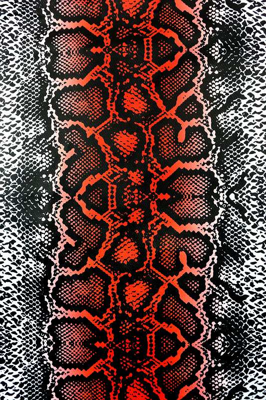 送料無料ポイント2倍 赤蛇 総柄 半袖 セットアップ ジャージ ヤクザ