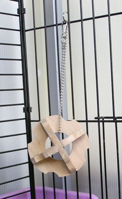 かじり木ボール おもちゃ かじり木 ストレス解消 天然木 うさぎ モルモット ハムスター リス チンチラ プレーリー デグー マルカンの通販はau Pay マーケット 小動物専門店ヘヴン