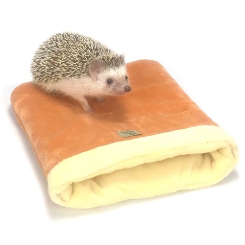 寝床 ハリネズミ