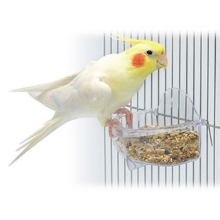 深型バード食器 L エサ入れ 餌入れ 透明 フードフィーダー 小鳥 セキセイ オカメインコ 文鳥 サンコー Sanko 三晃商会の通販はau Pay マーケット 小動物専門店ヘヴン