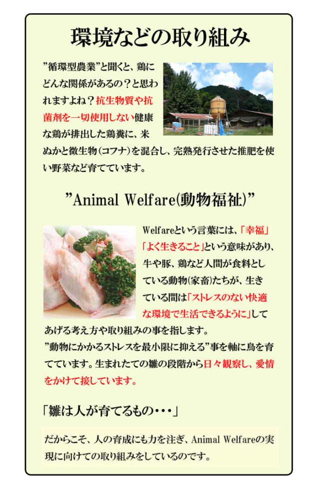 送料無料 調理済み 国産 つくば鶏もも肉の唐揚げ 0ｇ 5パック 唐揚げ から揚げ レンジ調理ok 簡単調理 訳あり お惣菜 お弁当の通販はau Pay マーケット マーチャンマート
