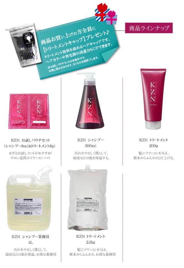 ナリス化粧品 Kzn シャンプー300ml トリートメント ヘアトリートメント 0g セットの通販はau Pay マーケット アクアベース