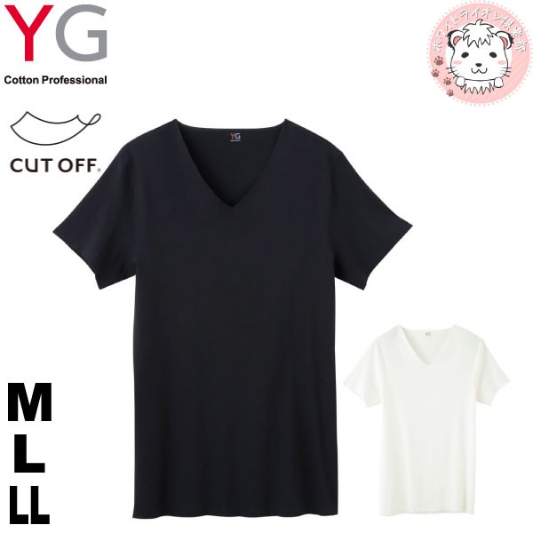 グンゼ Yg ワイジー カットオフ 完全無縫製 Vネックtシャツ Yv1315 M L Llの通販はau Pay マーケット ホワイトライオン倶楽部 Au Pay マーケット店