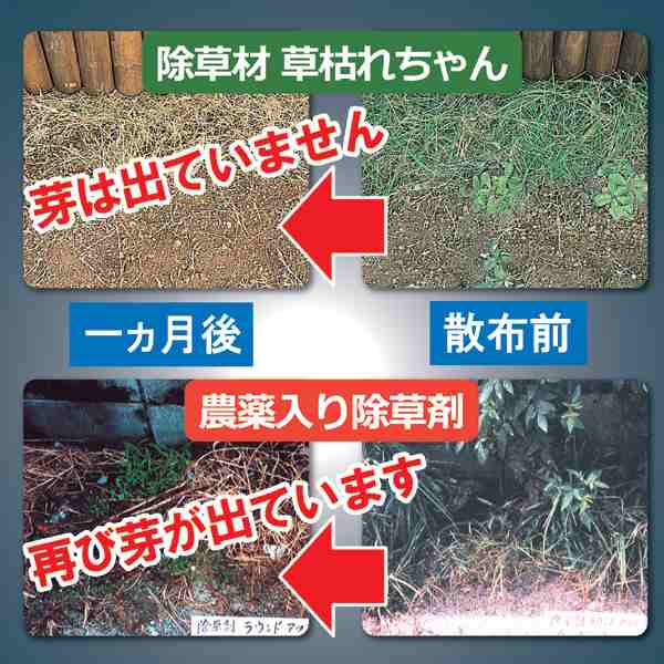 除草 散布 ガーデニング 除草剤 草枯れちゃん 2kg 庭 草 雑草 無農薬の通販はau Pay マーケット Lunebeauty店