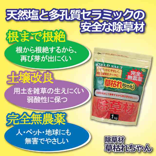 除草剤 散布 ガーデニング 除草剤 草枯れちゃん 1kg 雑草 無農薬 草の通販はau Pay マーケット Lunebeauty店