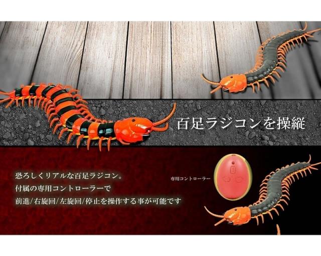 超リアル ムカデ ラジコン 2ch カラーランダム 送料無料 一部地域を除く の通販はau Pay マーケット ユウショウショップ 超リアル ムカデ ラジコン 2ch カラーランダム 送料無料 一部地域を除く の通販はau Pay マーケット ユウショウショップ