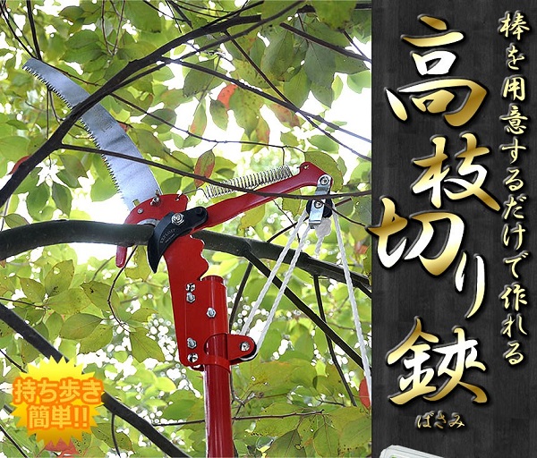 2way 簡易 高枝切バサミ 超軽量 剪定 高枝切鋏 ガーデニング 庭 送料無料 一部地域を除く の通販はau Pay マーケット ユウショウショップ 2way 簡易 高枝切バサミ 超軽量 剪定 高枝切鋏 ガーデニング 庭 送料無料 一部地域を除く の通販はau Pay マーケット ユウショウショップ