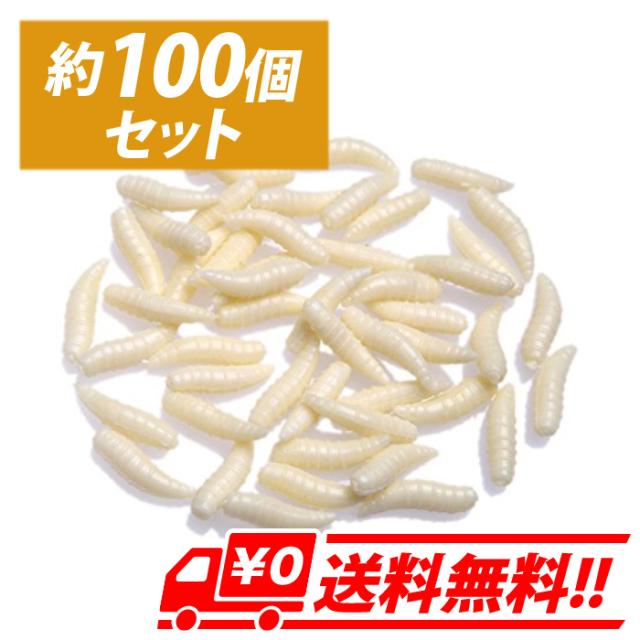 大量 約100個 うじ虫グラブ ソフトルアー ソフト 餌 ワーム アイボリー フィッシング 人工ルアーの通販はau Pay マーケット Arts Factory