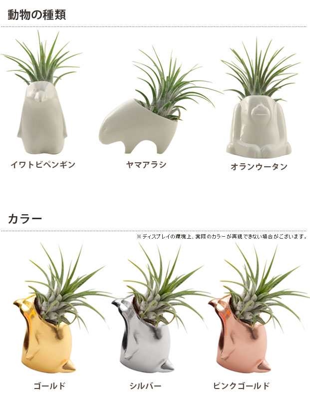 Naft プランツベース Plan S Animal アニマル メタリックカラー かわいい 小さい 植物 動物 置物 室内 癒し ミニサイズ 観葉植物 R の通販はau Pay マーケット キレイスポット