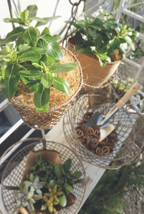 ウォールハンキングバスケット S アイアン W16 5 D15 H24cm アンティーク バスケット カフェ ナチュラル雑貨 インテリア インテリア雑の通販はau Pay マーケット Desir De Vivre