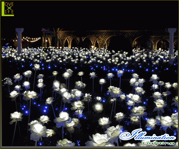 【イルミネーション】ローズ【バラ】【薔薇】【フラワー】【お花】【お花畑】【はな】【LED】【クリスタル】【電飾】【モチーフ】【クリスマス】【かわいい】