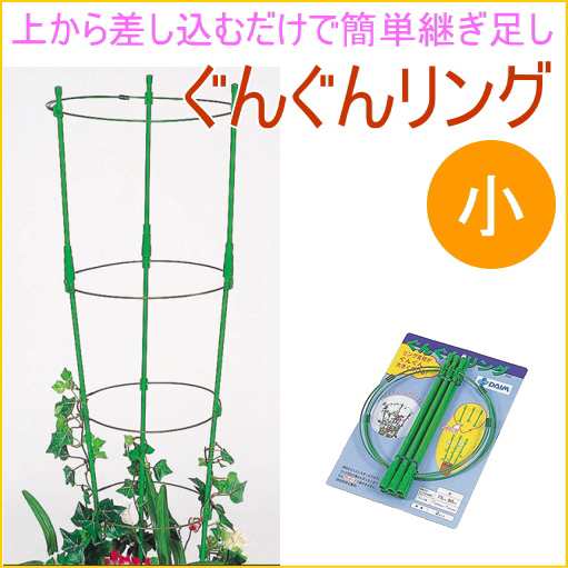 ぐんぐんリング 小 2セット入り 園芸 ガーデニング 家庭菜園 観葉植物 支柱 土 野菜 栽培 簡単 便利 鉢 竹の通販はau Pay マーケット Joyアイランド